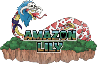 amazon lily mv pc