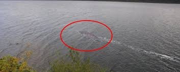 images 2 1